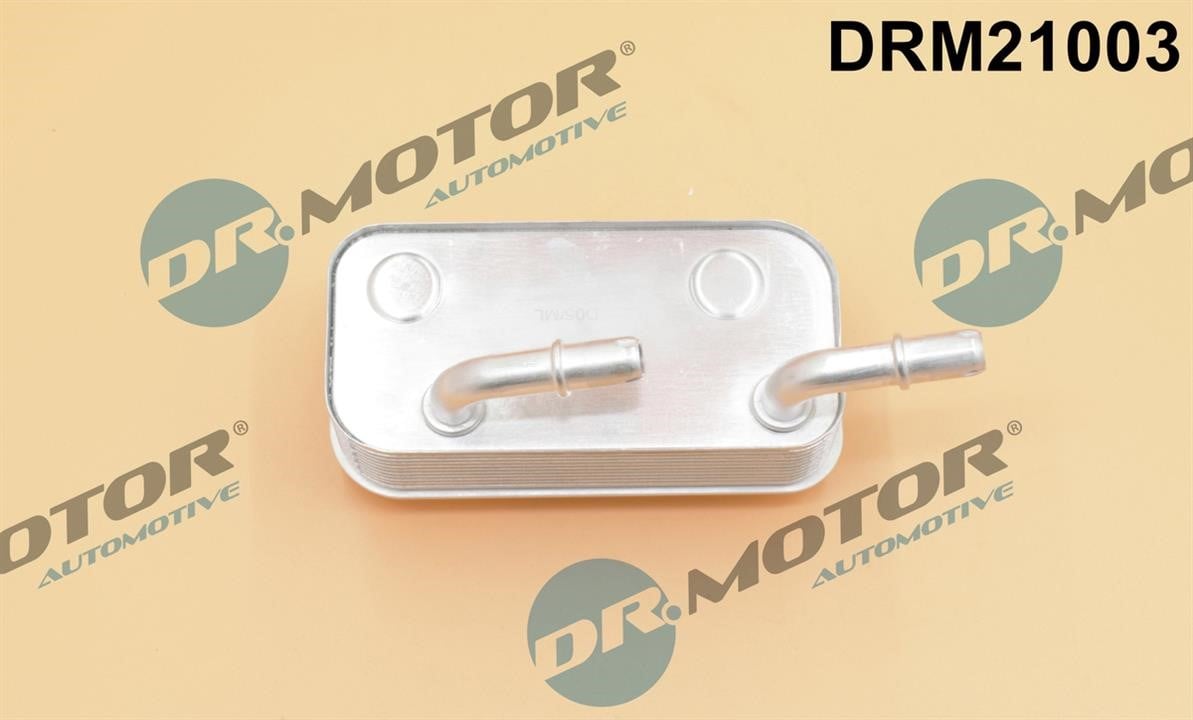 Dr.Motor DRM21003 Oil Cooler, automatic transmission DRM21003: Buy near me in Poland at 2407.PL - Good price!