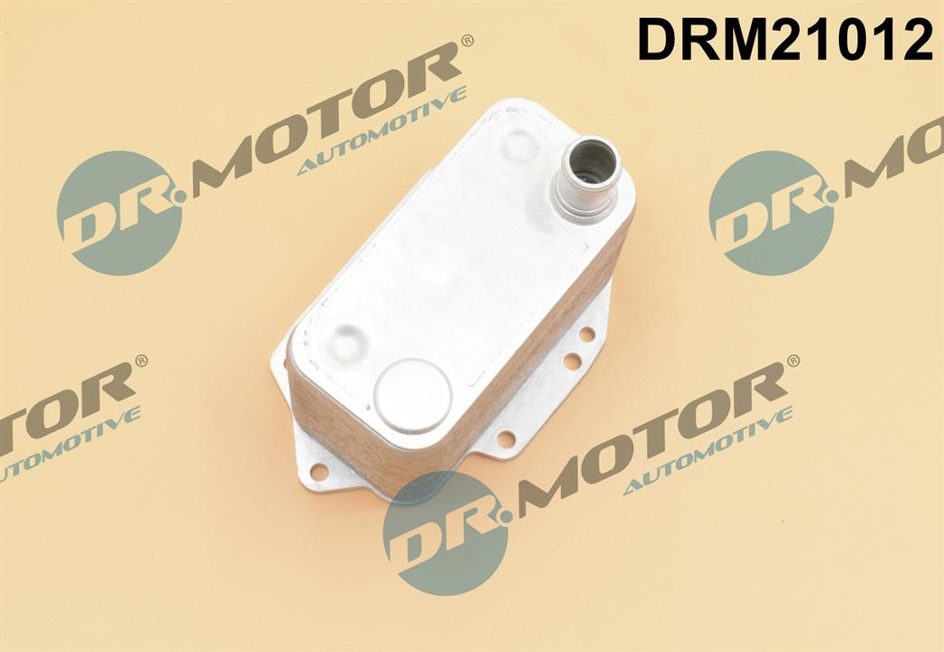 Dr.Motor DRM21012 Oil Cooler, engine oil DRM21012: Buy near me in Poland at 2407.PL - Good price!
