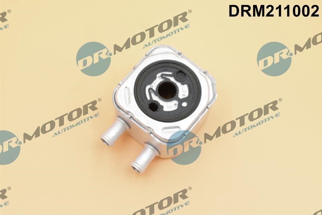 Dr.Motor DRM211002 Oil Cooler, engine oil DRM211002: Buy near me in Poland at 2407.PL - Good price!