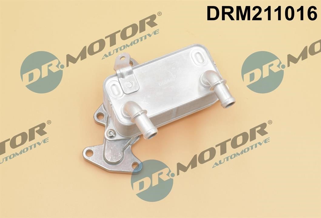Dr.Motor DRM211016 Oil Cooler, automatic transmission DRM211016: Buy near me in Poland at 2407.PL - Good price!