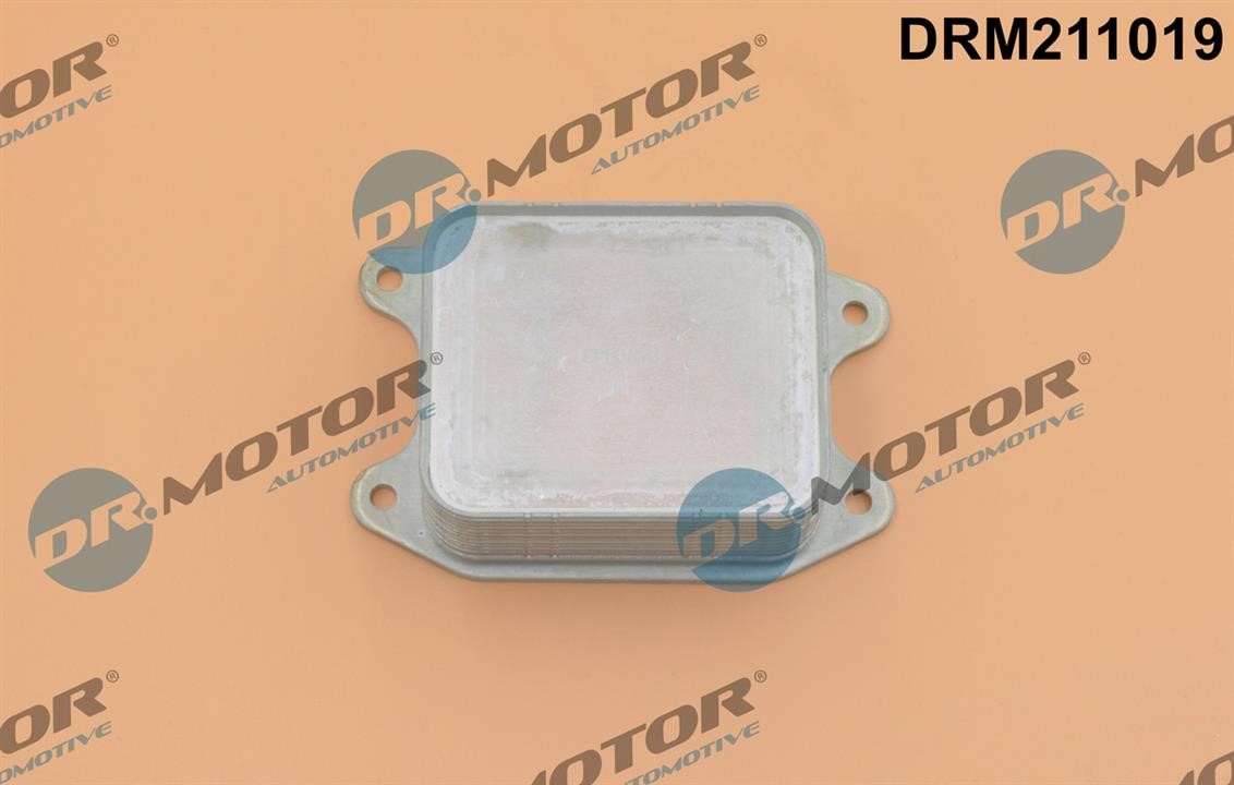 Dr.Motor DRM211019 Oil Cooler, engine oil DRM211019: Buy near me at 2407.PL in Poland at an Affordable price!