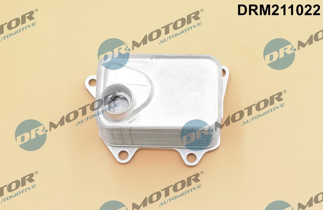 Dr.Motor DRM211022 Oil Cooler, engine oil DRM211022: Buy near me in Poland at 2407.PL - Good price!