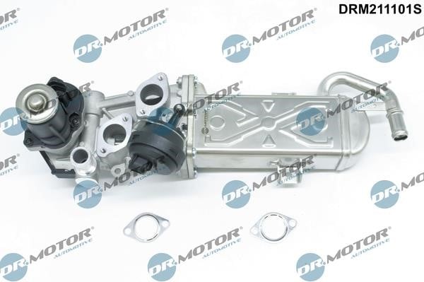 Dr.Motor DRM211101S AGR-Ventil DRM211101S: Kaufen Sie zu einem guten Preis in Polen bei 2407.PL!