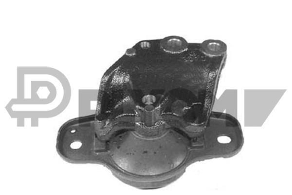PLYOM P756053 Engine mount P756053: Buy near me at 2407.PL in Poland at an Affordable price!