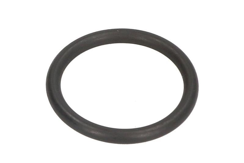 Engitech ENT250132 Nozzle ring ENT250132: Buy near me in Poland at 2407.PL - Good price!