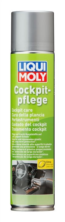 Liqui Moly 1599 Plastic care product, 300 ml 1599: Buy near me in Poland at 2407.PL - Good price!