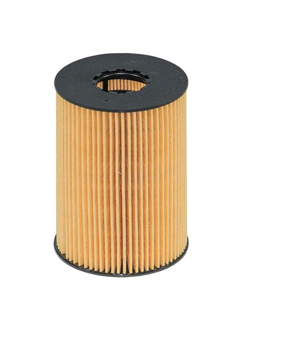 Filtron OE 669/1 Oil Filter OE6691: Buy near me in Poland at 2407.PL - Good price!