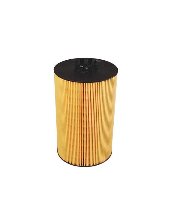 Filtron OE 646/2 Oil Filter OE6462: Buy near me in Poland at 2407.PL - Good price!