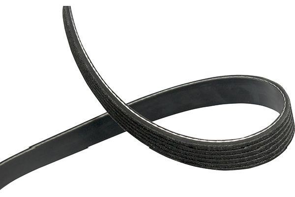 Kavo parts DMV-5529 V-ribbed belt 6PK1640 DMV5529: Buy near me in Poland at 2407.PL - Good price!