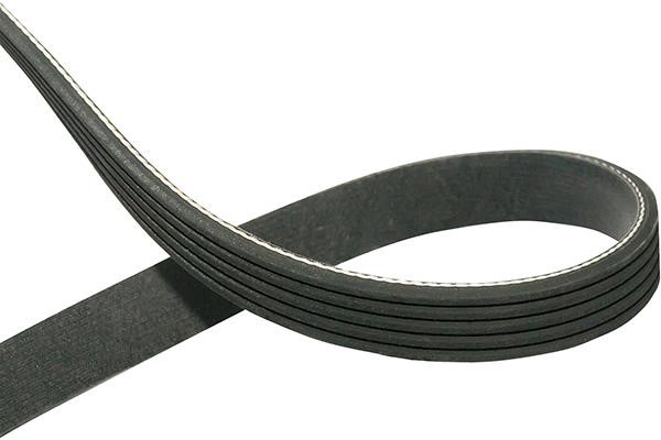 Kavo parts DMV-10001 V-Ribbed Belt DMV10001: Buy near me in Poland at 2407.PL - Good price!