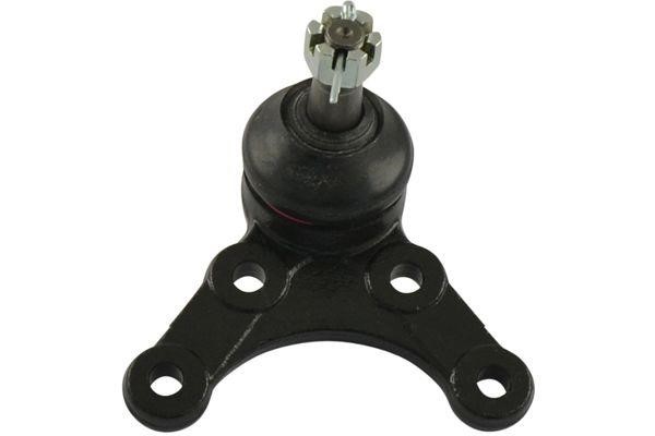 Kavo parts SBJ-4524 Ball joint SBJ4524: Buy near me in Poland at 2407.PL - Good price!
