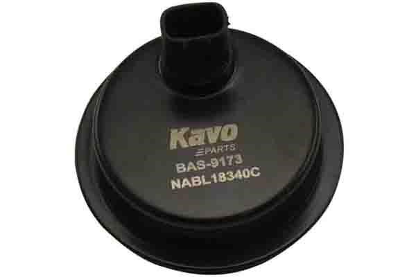 Kavo parts BAS-9173 Sensor, Raddrehzahl BAS9173: Kaufen Sie zu einem guten Preis in Polen bei 2407.PL!