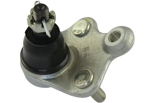 Kavo parts SBJ-2028 Ball joint SBJ2028: Buy near me at 2407.PL in Poland at an Affordable price!
