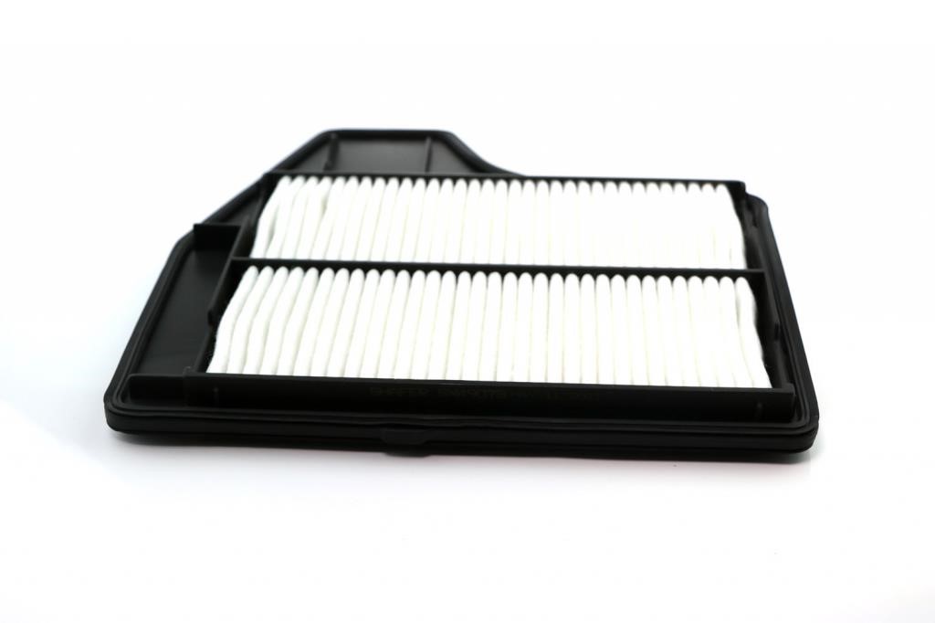 Shafer SX49073 Air filter SX49073: Buy near me in Poland at 2407.PL - Good price!
