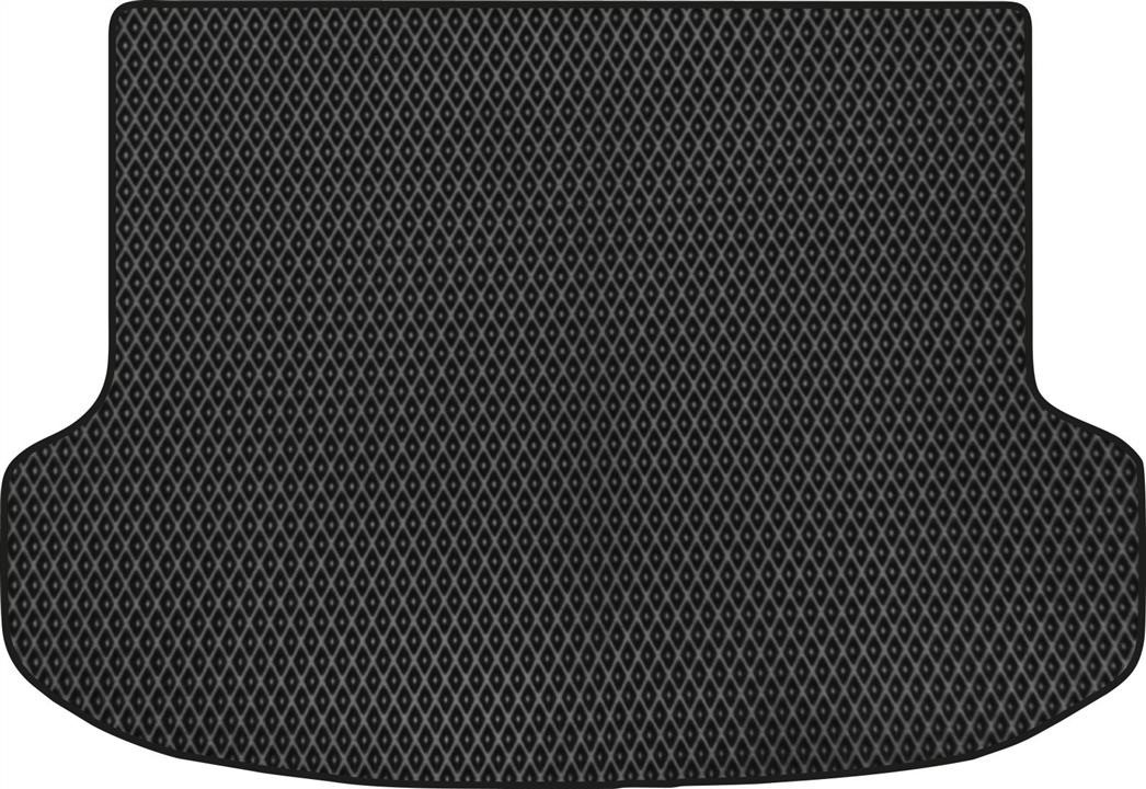 EVAtech LS51670B1RBB Trunk mat for Lexus RX (2009-2015), black LS51670B1RBB: Buy near me in Poland at 2407.PL - Good price!