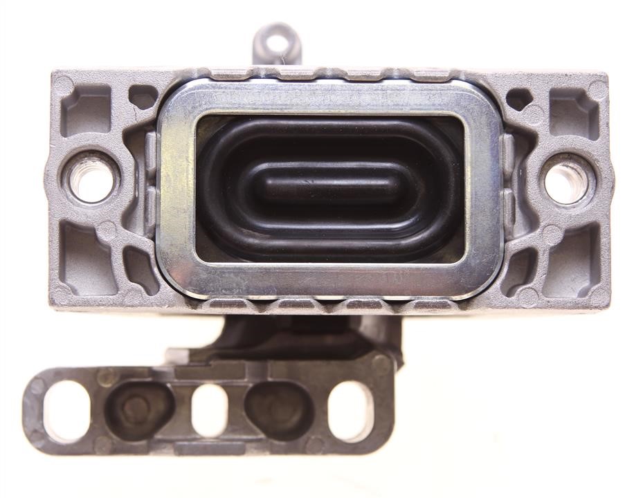 Sasic 2706095 Engine mount right 2706095: Buy near me at 2407.PL in Poland at an Affordable price!