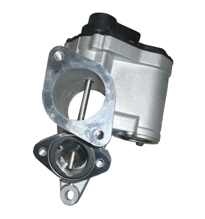 EGR valve TECH-FRANCE EGR029