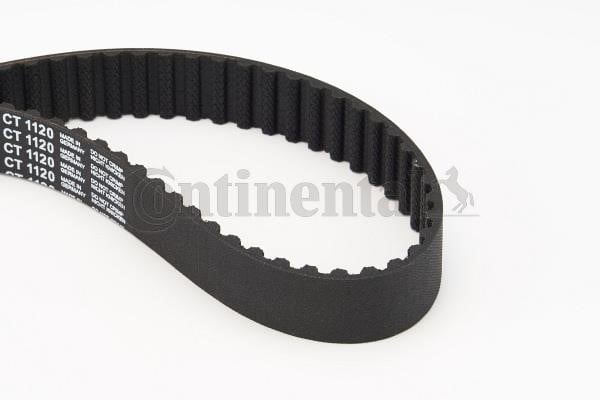 Contitech CT1120 Timing belt CT1120: Buy near me in Poland at 2407.PL - Good price!