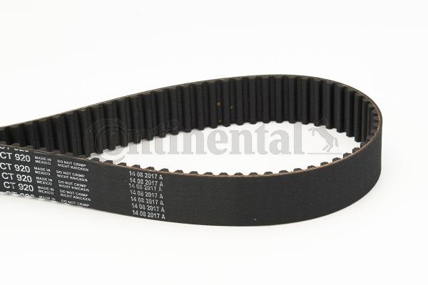 Contitech CT920 Timing belt CT920: Buy near me in Poland at 2407.PL - Good price!