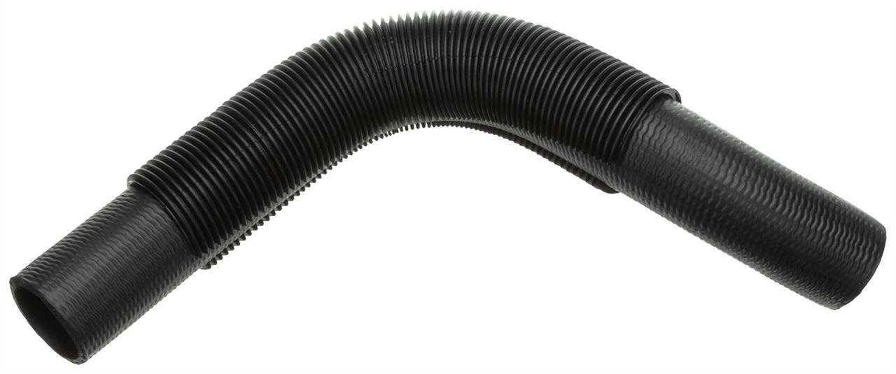 Rapro R38211 Radiator hose R38211: Buy near me at 2407.PL in Poland at an Affordable price!