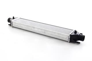 BSG 25-535-004 Intercooler, charger 25535004: Buy near me in Poland at 2407.PL - Good price!