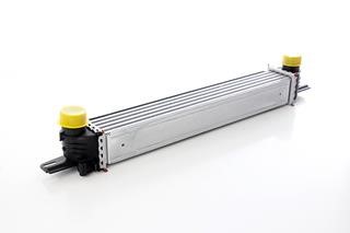 BSG 25-535-007 Intercooler, charger 25535007: Buy near me in Poland at 2407.PL - Good price!