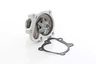 BSG 65-500-020 Water pump 65500020: Buy near me at 2407.PL in Poland at an Affordable price!