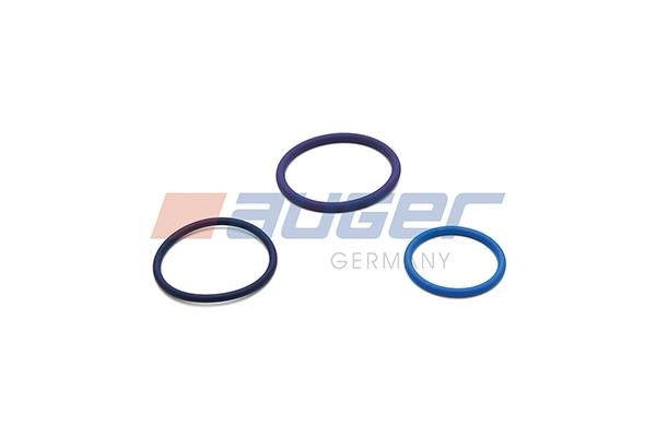 Auger 103934 Seal Kit, injector nozzle 103934: Buy near me in Poland at 2407.PL - Good price!