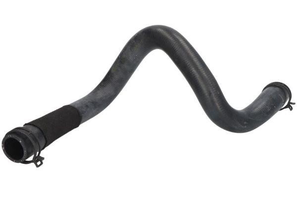 Thermotec DWG134TT Radiator hose DWG134TT: Buy near me at 2407.PL in Poland at an Affordable price!