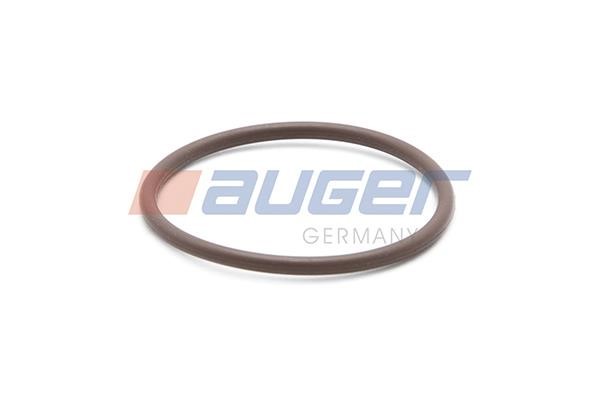 Auger 91194 Прокладка, корпус форсунки 91194: Отличная цена - Купить в Польше на 2407.PL!