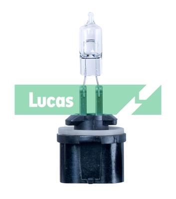 Lucas Electrical LLB885 Лампа галогенная 12В LLB885: Отличная цена - Купить в Польше на 2407.PL!