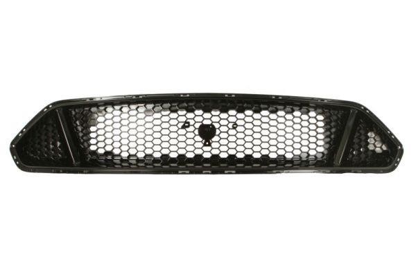 Blic 6502-07-2553992P Grille radiator 6502072553992P: Buy near me at 2407.PL in Poland at an Affordable price!