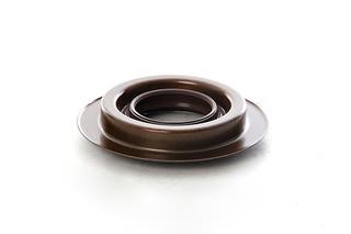 BSG 30-116-141 Shaft Seal, differential 30116141: Buy near me in Poland at 2407.PL - Good price!