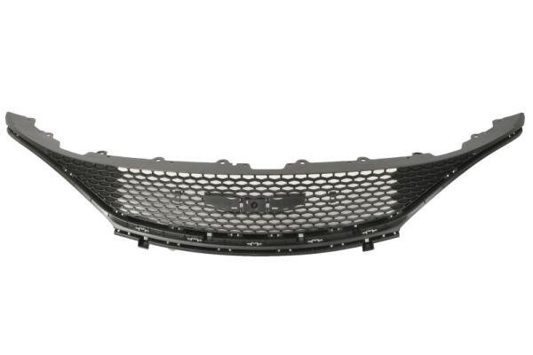 Blic 6502-07-2586990P Grille radiator 6502072586990P: Buy near me in Poland at 2407.PL - Good price!