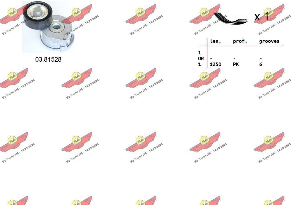 Autokit 06.0137 Zestaw pasek alternatora 060137: Dobra cena w Polsce na 2407.PL - Kup Teraz!