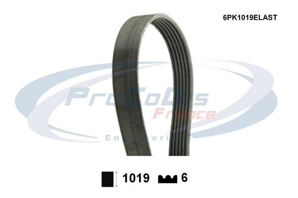 Procodis France 6PK1019ELAST V-ribbed belt 6PK1019 6PK1019ELAST: Buy near me in Poland at 2407.PL - Good price!