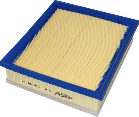 Goodwill AG 881 Air filter AG881: Buy near me in Poland at 2407.PL - Good price!