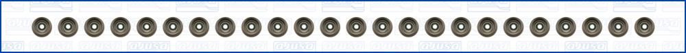 Wilmink Group WG2188168 Valve oil seals, kit WG2188168: Buy near me in Poland at 2407.PL - Good price!