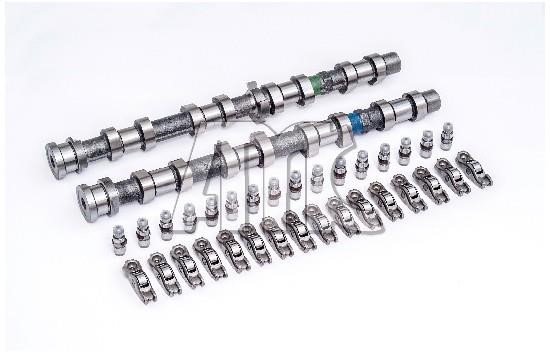 Wilmink Group WG1978009 Camshaft WG1978009: Buy near me in Poland at 2407.PL - Good price!