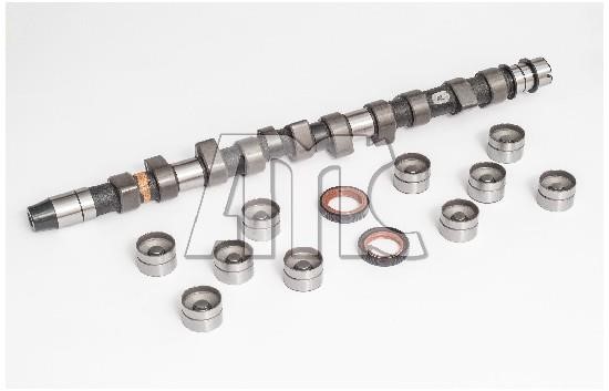 Wilmink Group WG2010543 Camshaft WG2010543: Buy near me at 2407.PL in Poland at an Affordable price!