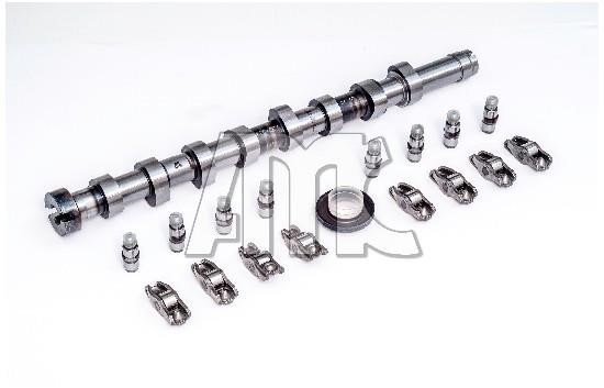 Wilmink Group WG2010594 Camshaft WG2010594: Buy near me in Poland at 2407.PL - Good price!
