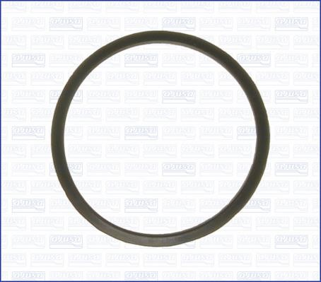 Wilmink Group WG2075489 Gasket, thermostat WG2075489: Buy near me in Poland at 2407.PL - Good price!