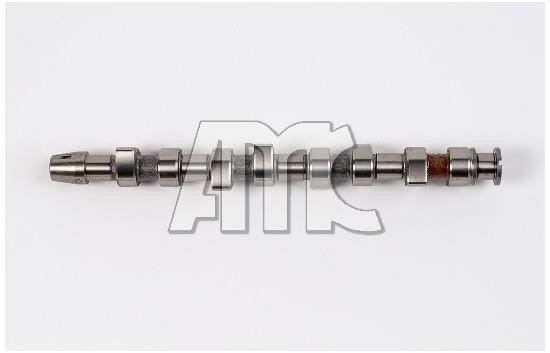 Wilmink Group WG1011535 Camshaft WG1011535: Buy near me in Poland at 2407.PL - Good price!
