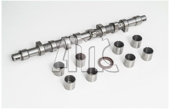 Wilmink Group WG2010596 Camshaft WG2010596: Buy near me in Poland at 2407.PL - Good price!