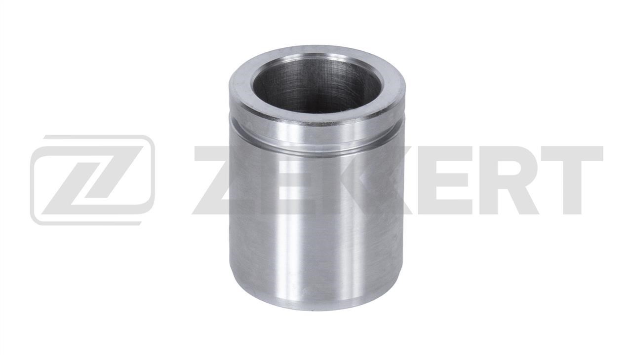 Zekkert BR-1549 Brake caliper piston BR1549: Buy near me in Poland at 2407.PL - Good price!