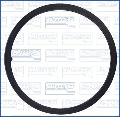 Wilmink Group WG2078668 Termostat gasket WG2078668: Buy near me in Poland at 2407.PL - Good price!