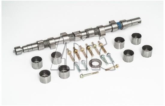 Wilmink Group WG2010606 Camshaft WG2010606: Buy near me in Poland at 2407.PL - Good price!