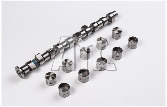 Wilmink Group WG2010548 Camshaft WG2010548: Buy near me in Poland at 2407.PL - Good price!