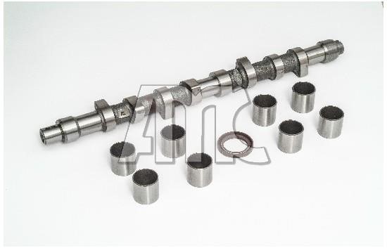 Wilmink Group WG2010538 Camshaft WG2010538: Buy near me in Poland at 2407.PL - Good price!