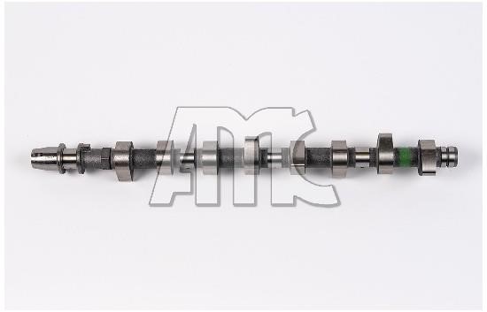Wilmink Group WG1011539 Camshaft WG1011539: Buy near me in Poland at 2407.PL - Good price!